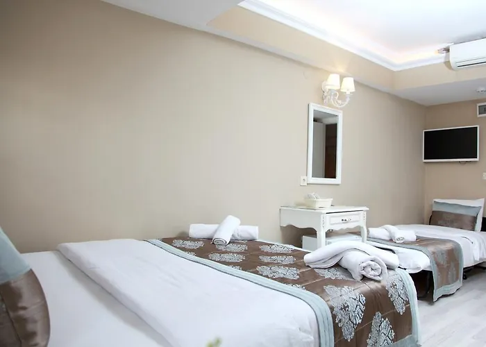 卡迪肯纳吉温泉酒店 酒店 3*