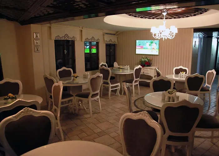 酒店 卡迪肯纳吉温泉酒店 3*