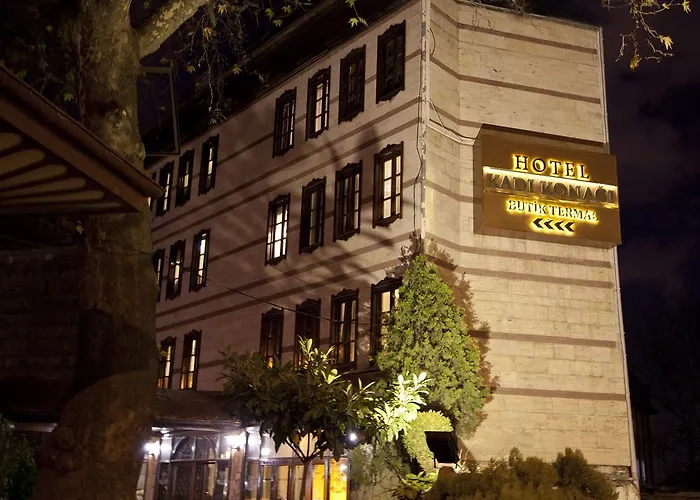 酒店 卡迪肯纳吉温泉酒店 伯萨