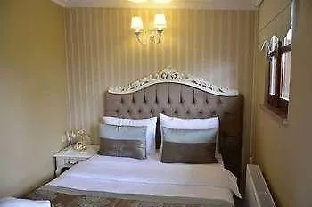 卡迪肯纳吉温泉酒店 酒店