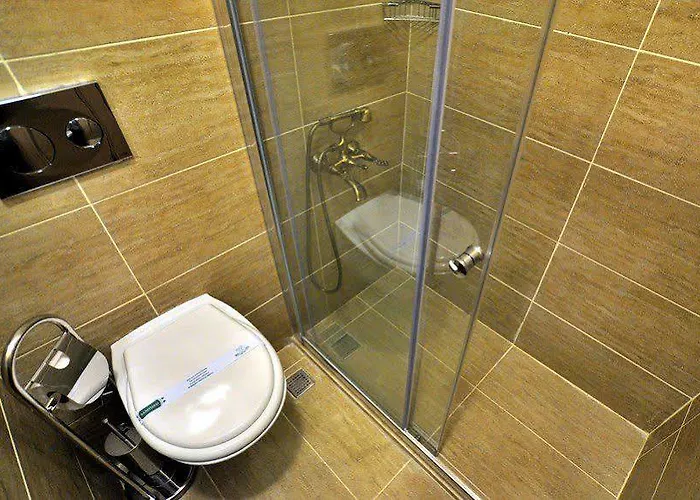 酒店 卡迪肯纳吉温泉酒店 伯萨