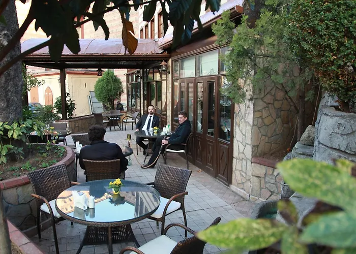 卡迪肯纳吉温泉酒店 伯萨