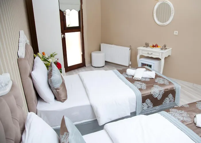 卡迪肯纳吉温泉酒店 3*